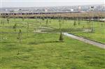 Halil İbrahim Oruç Parkı 90 Dönüme Ulaştı