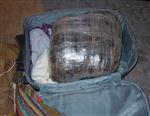 DEDEKTÖR KÖPEK - Ares Nakliye Aracındaki 80 Kilo Uyuşturucuyu Buldu