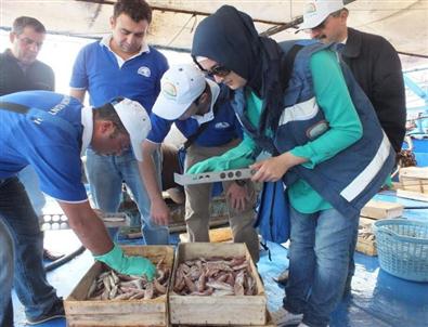 Bakanlık Kaçak Avlananlara Göz Açtırmıyor