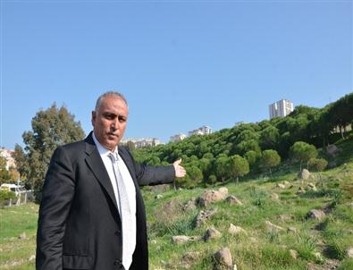 Chp'li Ali Talak’tan Evka-5’e Rekreasyon Alanı Müjdesi