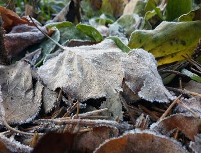 Gümüşhane Sıfırın Altında