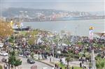 FOLKLOR GÖSTERİSİ - Kdz. Ereğli’de Hamsi Festivali 24 Kasım’da Yapılacak