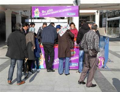 Laleler 12 Noktada Satışa Sunuldu