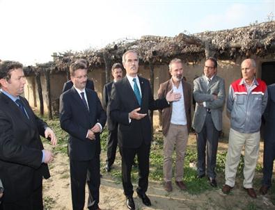 Türkiye´nin İlk Arkeopark´ı Yaza Hazır