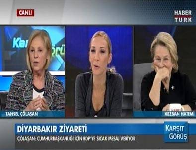 ADD Eşbaşkanı PKK'lılara 'Gerilla' dedi