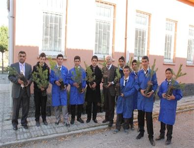 Akdağmadeni Kaymakamlığından Okul ve Camilere Bin Fidan