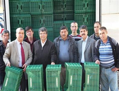 Fabrikalara Zeytin Kasası Dağıtıldı