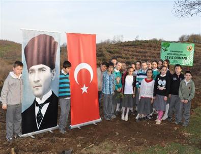 Ordu’da Cumhurbaşkanı Adına 52 Bin Fidan Dikildi