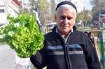 KARNABAHAR - (özel Haber) İstanbul'da Cep Yakan Sebzeler Balıkesir'de Sudan Ucuz