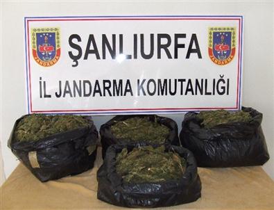 Jandarma’dan Kaçakçılara Geçit Yok