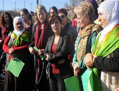 Kadınlar Şiddete Karşı Fidan Dikti