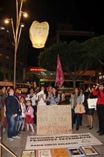 Kadınlardan Dilek Fenerli Eylem