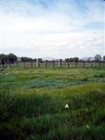 KENAN ÇIFTÇI - Altıntaş Stadını İstiyor