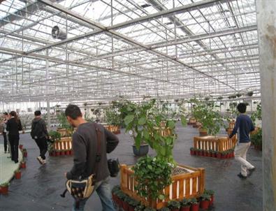 Çeşme, Çin'den Umutlu Döndü