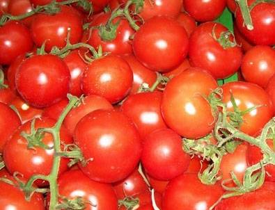 Türk salça devi satılıyor