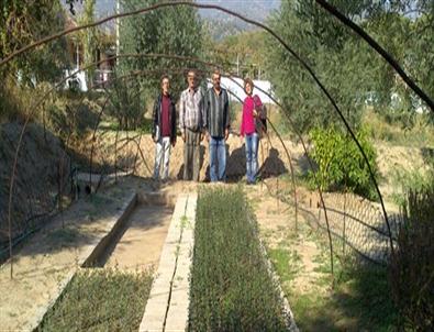 Aydınlı 16 Fidan Üreticisi Fidanlarının Etiket Sertifikarını Aldı