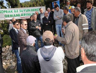 Baca Açıklaması