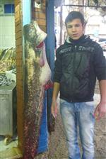 KÖPEK BALIĞI - Bilecik’te Dev Yayın Balığı Yakalandı