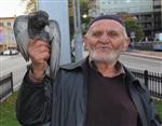Hayvansever Mehmet Dede