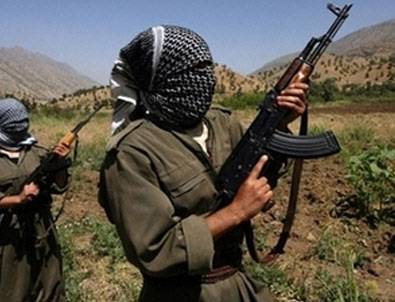 1 yıl sonra açıkladılar: PKK'nın üst düzey ismi öldürüldü