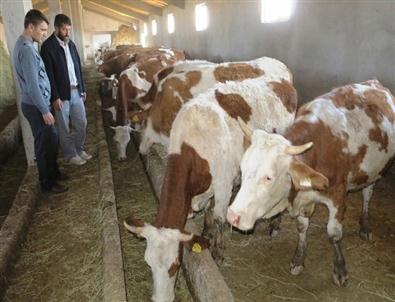 Daka’da Başarı Öyküleri