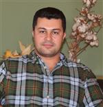 OLGUNLUK - Erken Kesilen Narenciye İhracata Zarar Veriyor