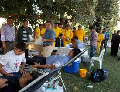 Orman Bölge Personeli 365 Ünite Kan Bağışladı