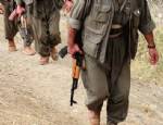 PKK'nın üst düzey ismi öldürüldü!