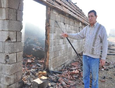 14 Büyükbaş Hayvan Yangında Telef Oldu