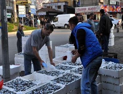 Canlı Müzik Eşliğinde Balık Sattılar