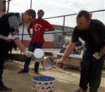 KEMİK ERİMESİ - (özel Haber) Safari Eşekleri Süt Sektörüne Geçiş Yaptı