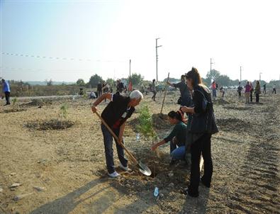 Seferihisar'da Can Yücel Ormanı’na 170 Yeni Fidan Dikildi