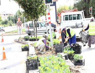 Çubuk Belediyesi Park ve Bahçeler Müdürlüğü Kışa Hazır