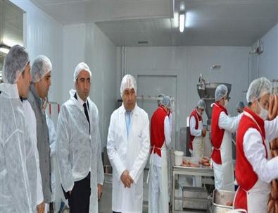 Gıda, Tarım Hayvancılık İl Müdürü Hüseyin Arap'ın İşletme Ziyareti
