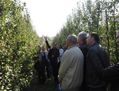 Üreticiler Armut Bahçesinde Eğitim Görüyor