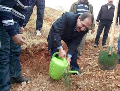 5 Bin Fidan ve Tohum Toprakla Buluşturuldu