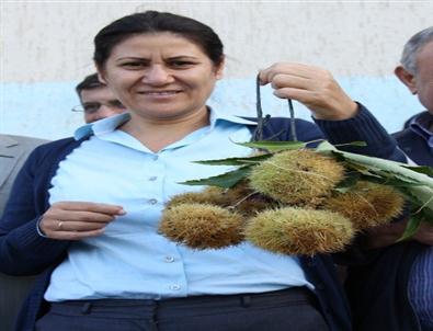 Manisa Chp Milletvekili Sakine Öz'ün Acı Günü