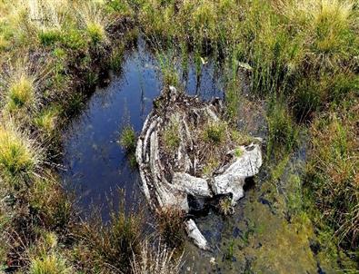Tarihi ‘kervan Yolu’ Yeniden Canlanacak