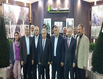 Başkan Toçoğlu Peyzaj Uygulamalarını İnceledi