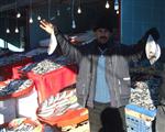 Yerköy’de Balık Satışları Arttı