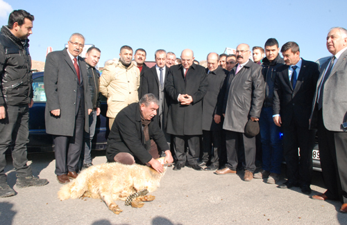 MHP'li Adaylardan Devran Kutlugün'e Tam Destek!