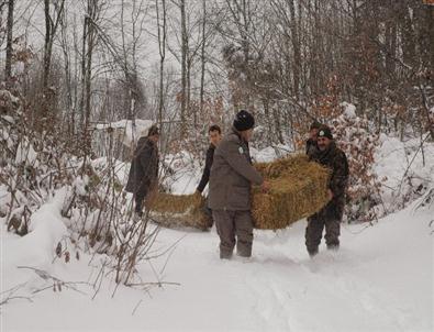 Soğuk Kış Günlerinde Yaban Hayvanları Unutulmadı