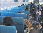 KARA PARA - Büyükelçi'den 'köpek' itirafı