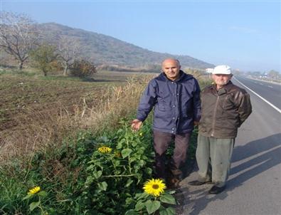Deü Öğretim Üyesi Prof. Dr. Çetin Açıklaması