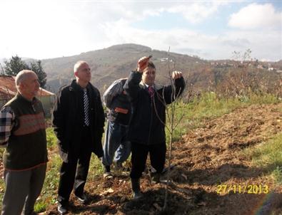 Gıda, Tarım ve Hayvancılık Müdürlüğü Kasım Ayını Dolu Dolu Geçirdi