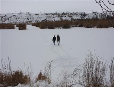 (özel Haber) Ahlat’ta Kuş Cennetini Dondurdu