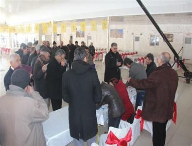 Mardin’de Bdp Temayül Yoklaması