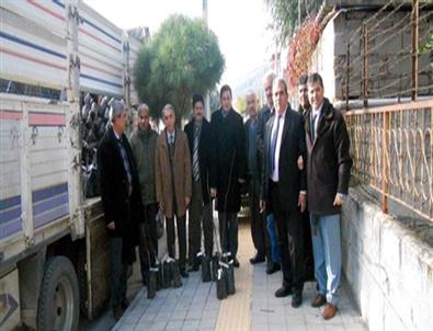 ‘aydın Badem Açacak’ Proje Fidanları Dikiliyor