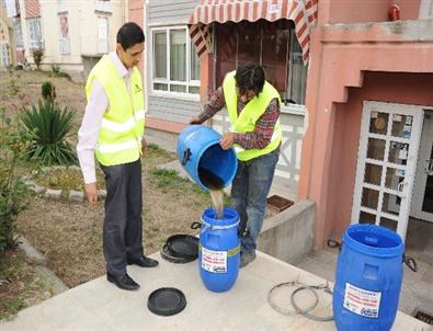 Başiskele'de Çevre Hizmetleri Farkı