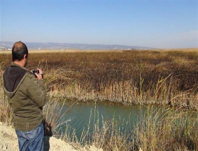 Göksu Deltası'ndaki Yangın Kendiliğinden Söndü